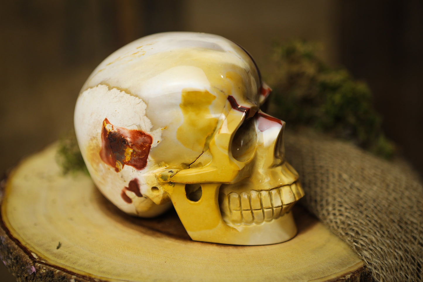 Large Skull Gemstone Polished Carved Mookaite Genuine Crystal Skull