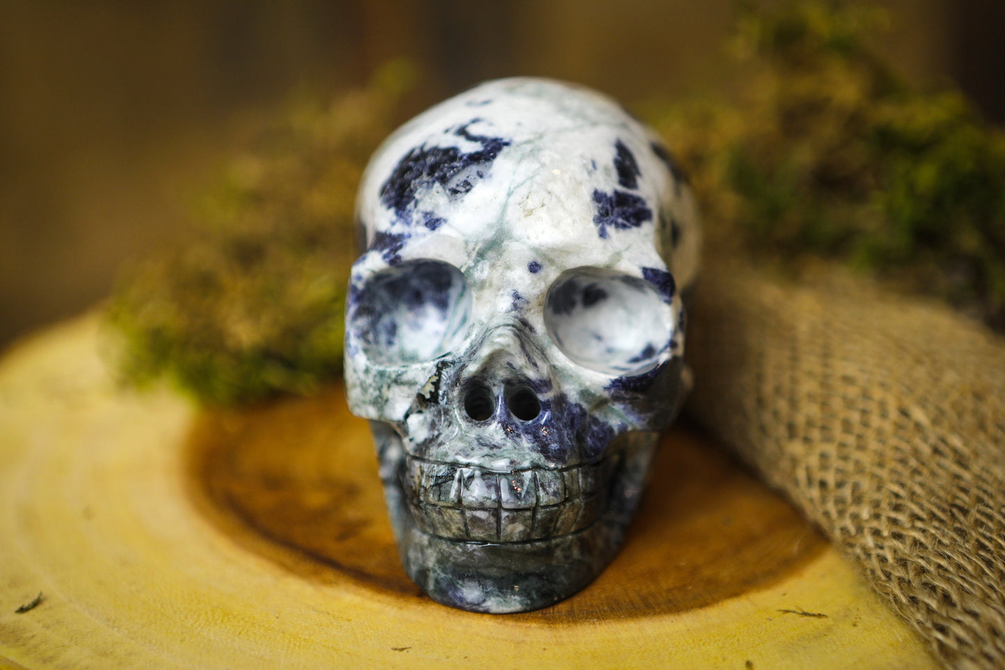 Sodalite Polished Carved Genuine Gemstone Crystal Skull