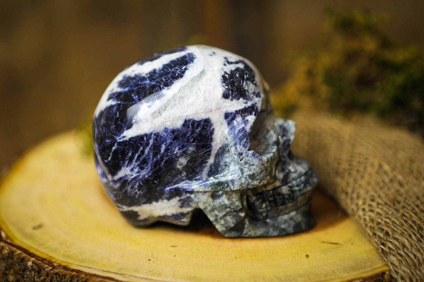 Sodalite Polished Carved Genuine Gemstone Crystal Skull