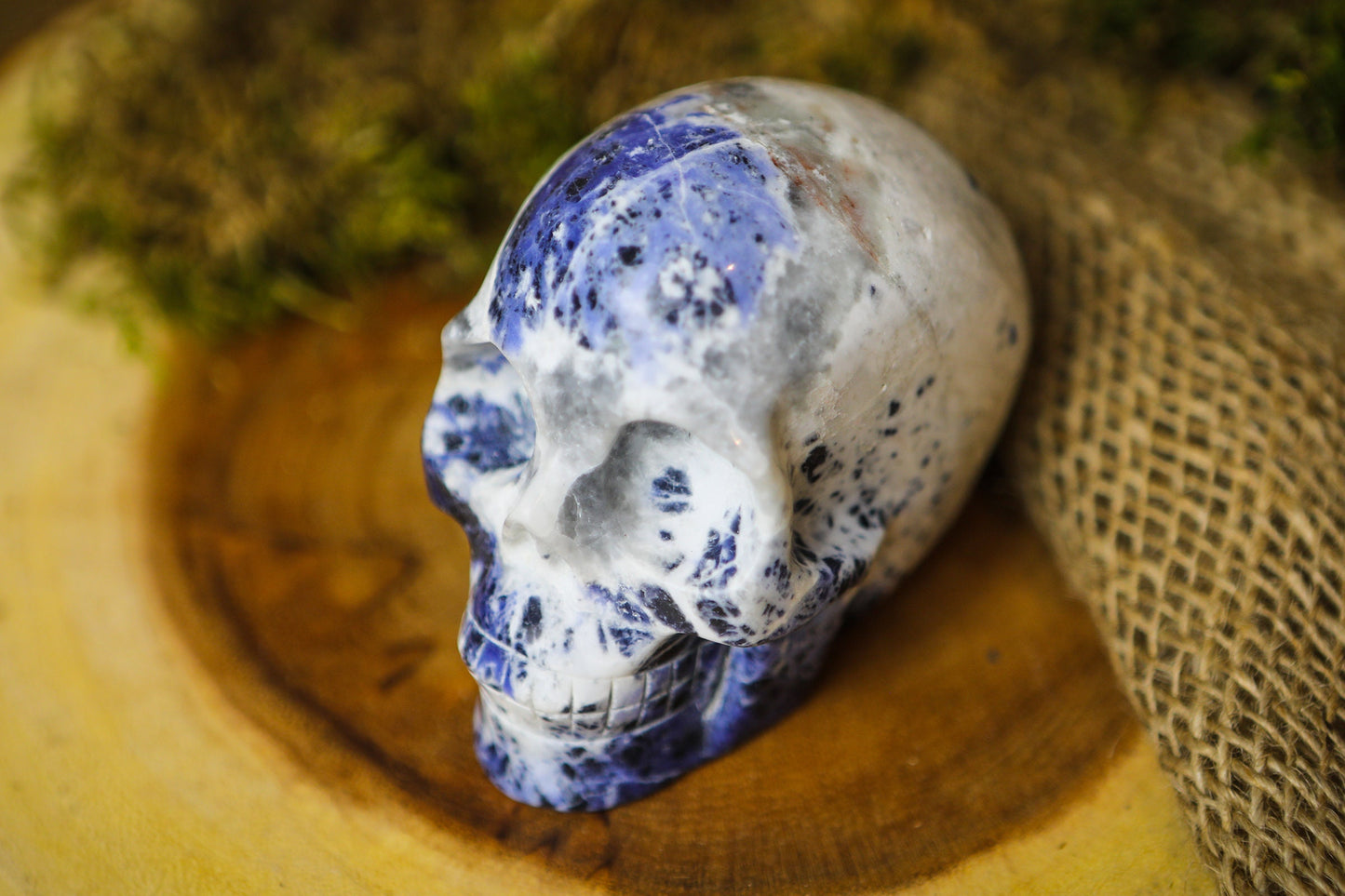 Sodalite Polished Carved Genuine Gemstone Crystal Skull