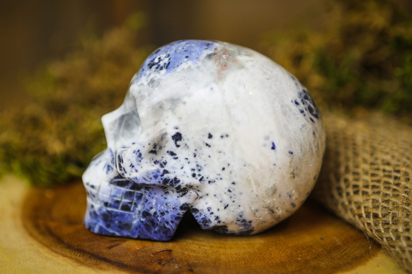 Sodalite Polished Carved Genuine Gemstone Crystal Skull