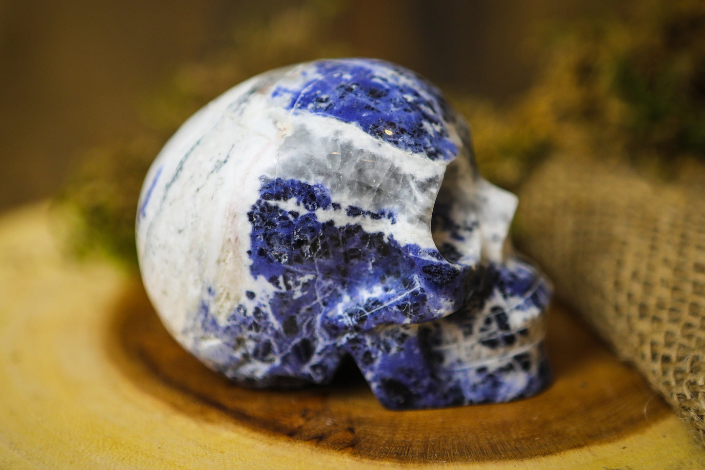 Sodalite Polished Carved Genuine Gemstone Crystal Skull