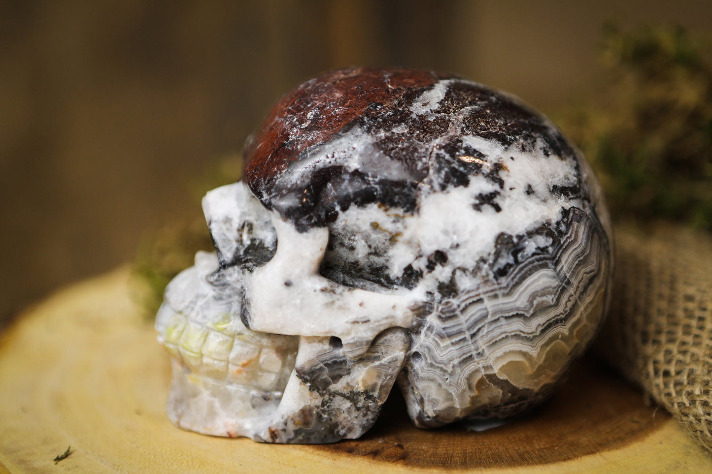 Mexican Crazy Lace Agate Skull Polished Carved Genuine Gemstone Crystal