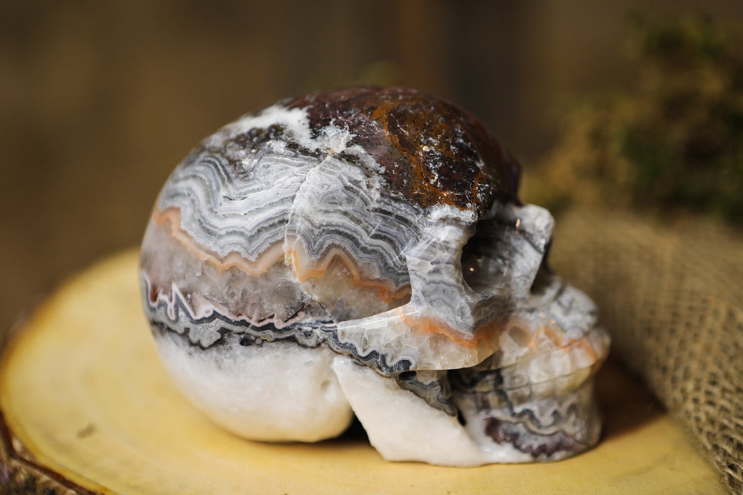 Mexican Crazy Lace Agate Skull Polished Carved Genuine Gemstone Crystal