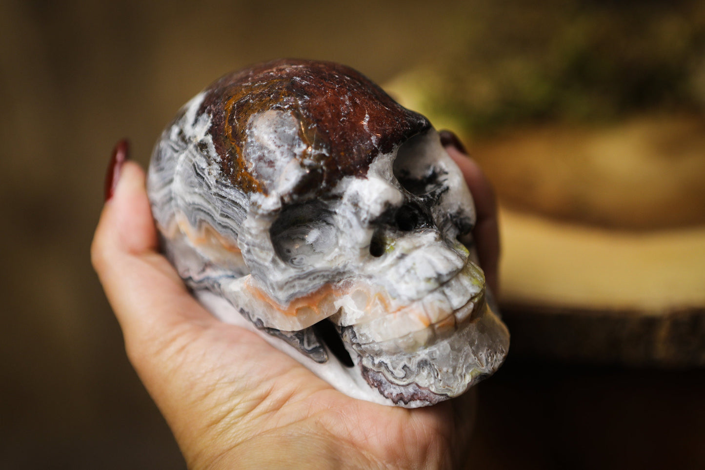 Mexican Crazy Lace Agate Skull Polished Carved Genuine Gemstone Crystal