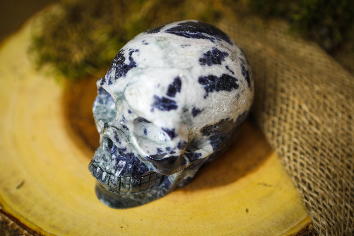Sodalite Polished Carved Genuine Gemstone Crystal Skull