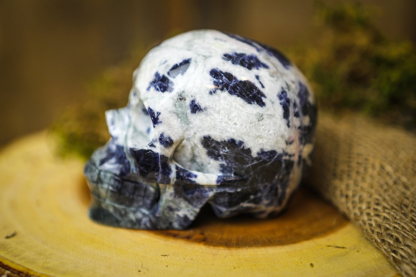 Sodalite Polished Carved Genuine Gemstone Crystal Skull