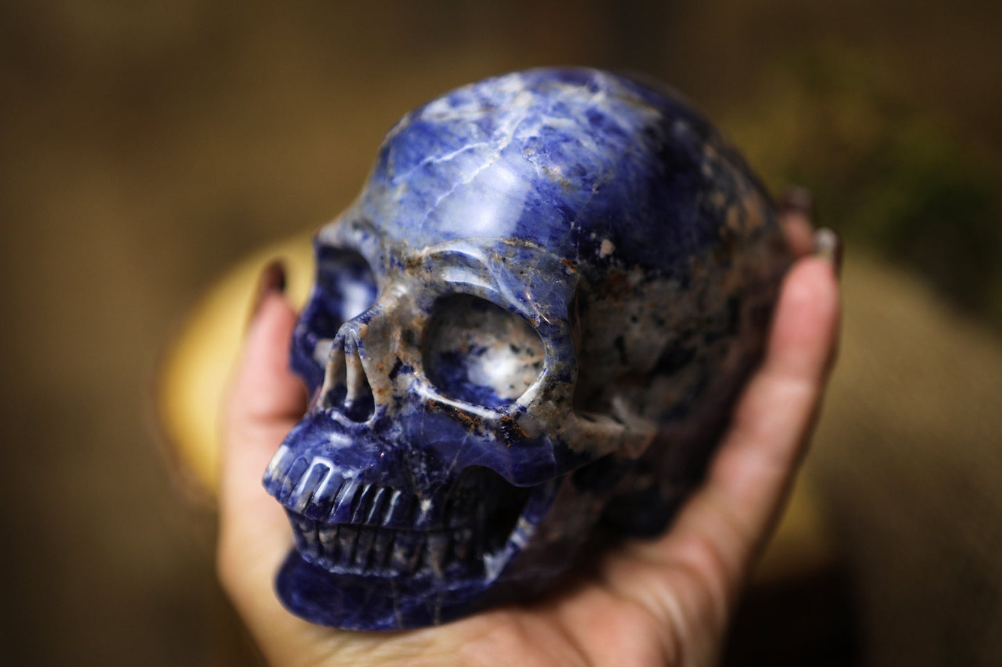 Sodalite Polished Carved Genuine Gemstone Crystal Skull