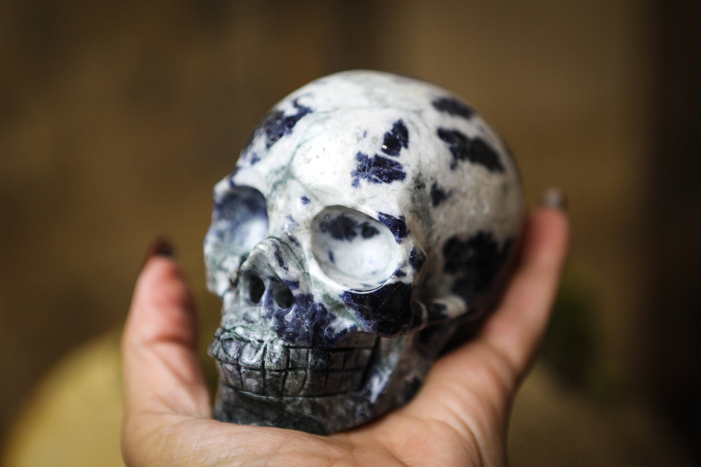 Sodalite Polished Carved Genuine Gemstone Crystal Skull