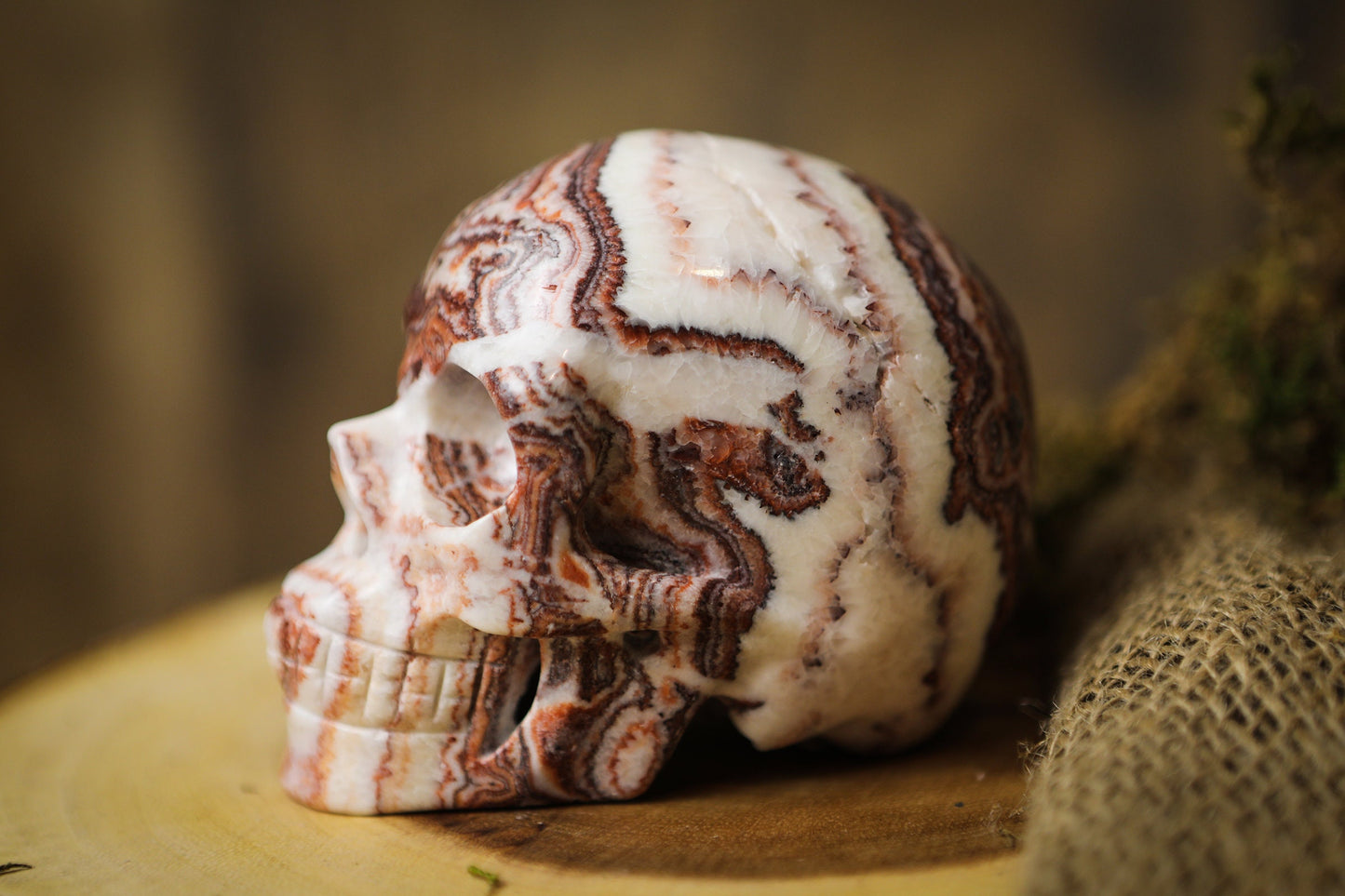 Picture Jasper Gemstone Skull Polished Carved Genuine Crystal