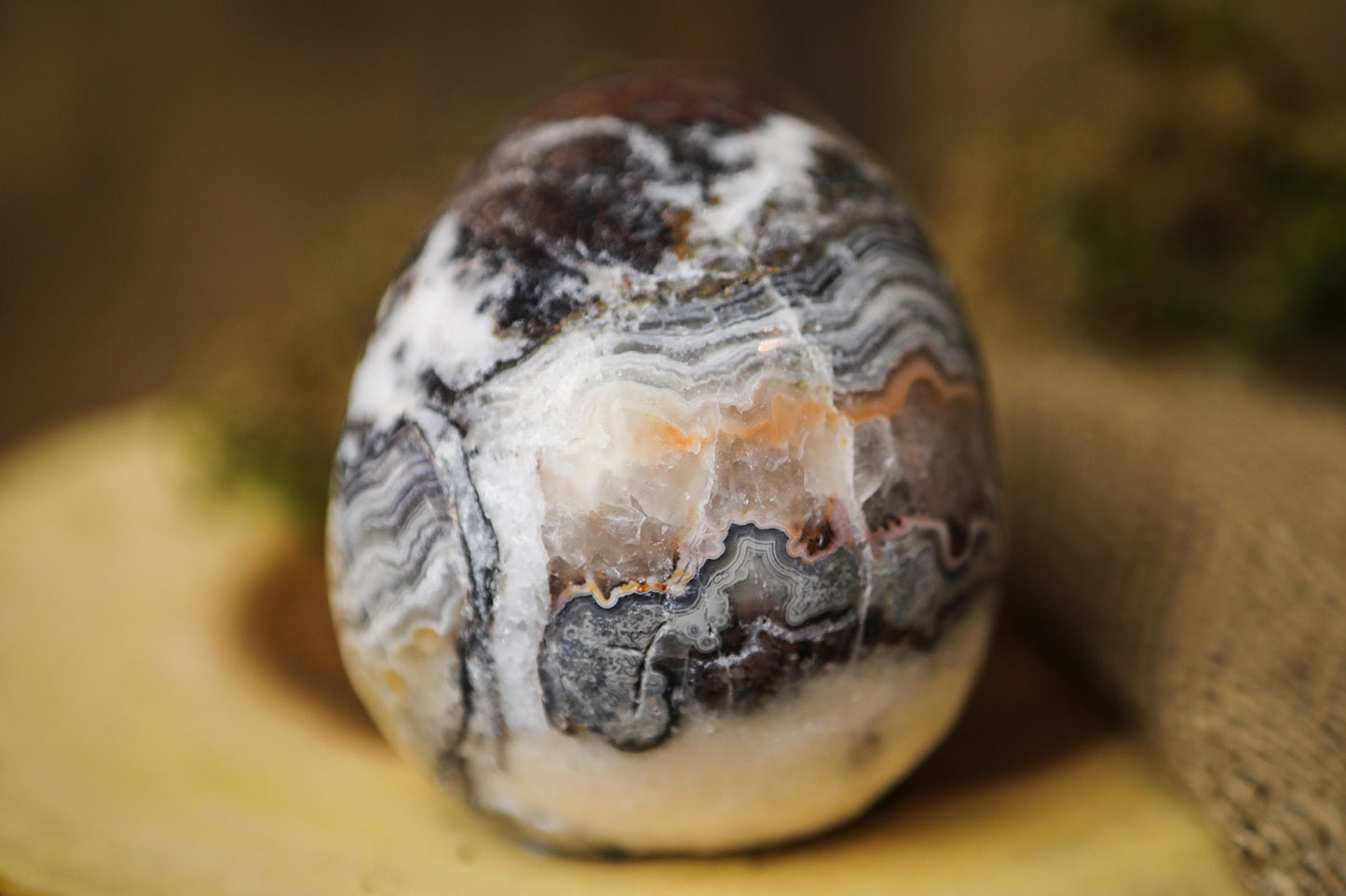 Mexican Crazy Lace Agate Skull Polished Carved Genuine Gemstone Crystal