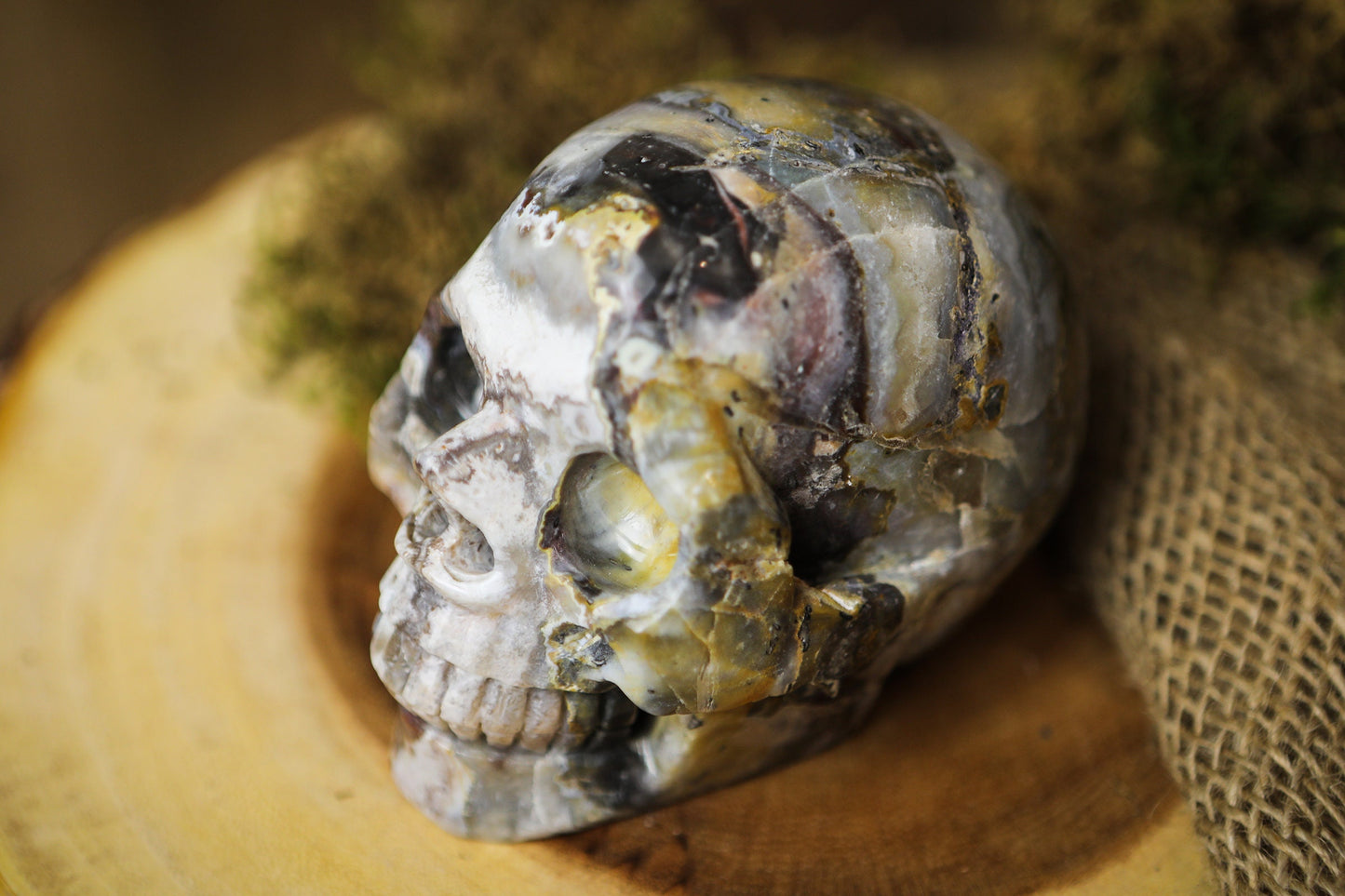 Mexican Crazy Lace Agate Skull Polished Carved Genuine Gemstone Crystal