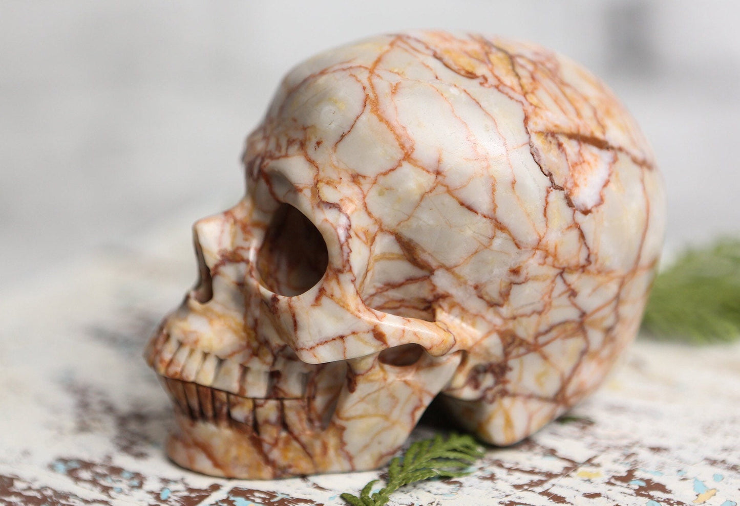 Red Vein Jasper Skull Gemstone Polished Carved Genuine Crystal