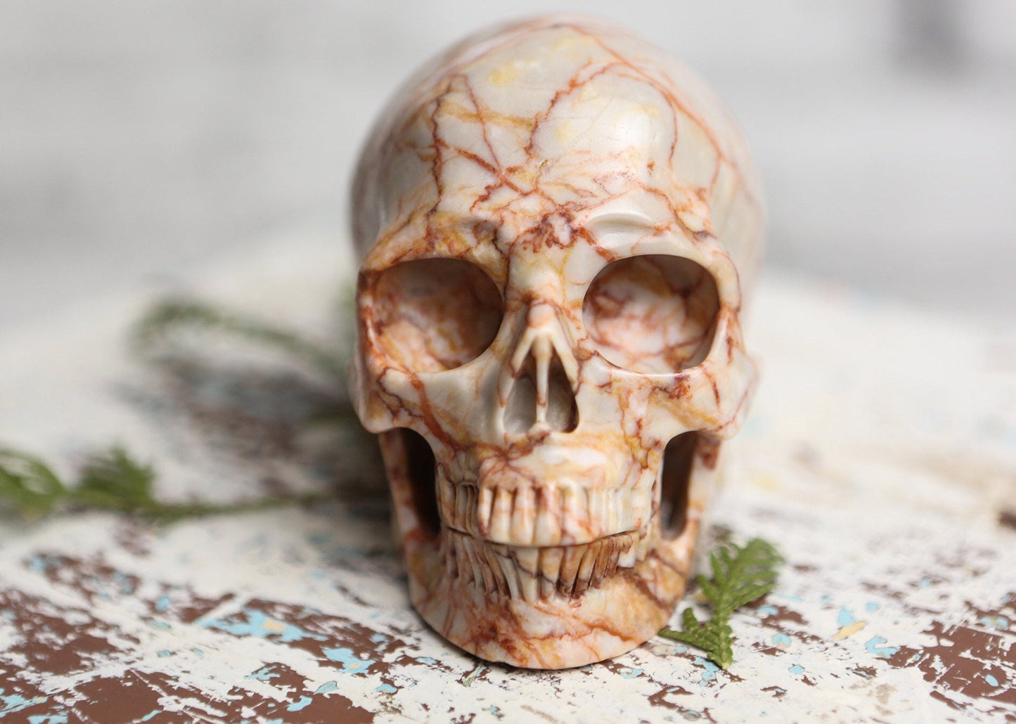 Red Vein Jasper Skull Gemstone Polished Carved Genuine Crystal