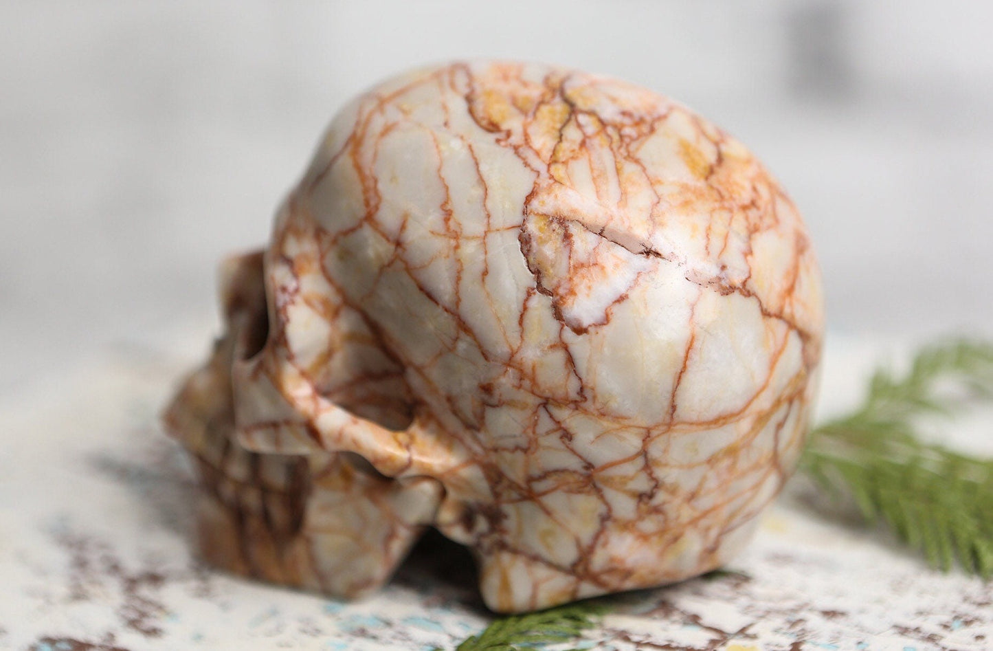 Red Vein Jasper Skull Gemstone Polished Carved Genuine Crystal