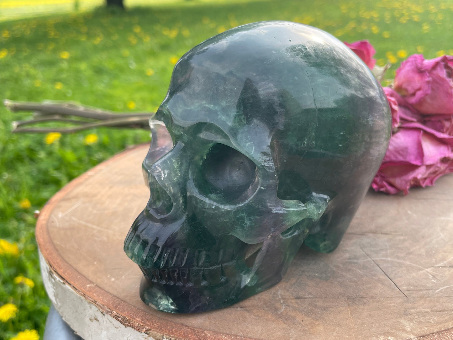 Rainbow Flourite Skull LARGE Polished Carved Genuine Gemstone Crystal