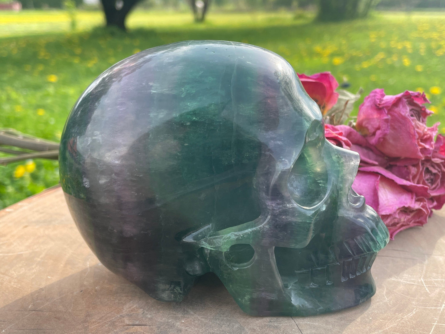 Rainbow Flourite Skull LARGE Polished Carved Genuine Gemstone Crystal
