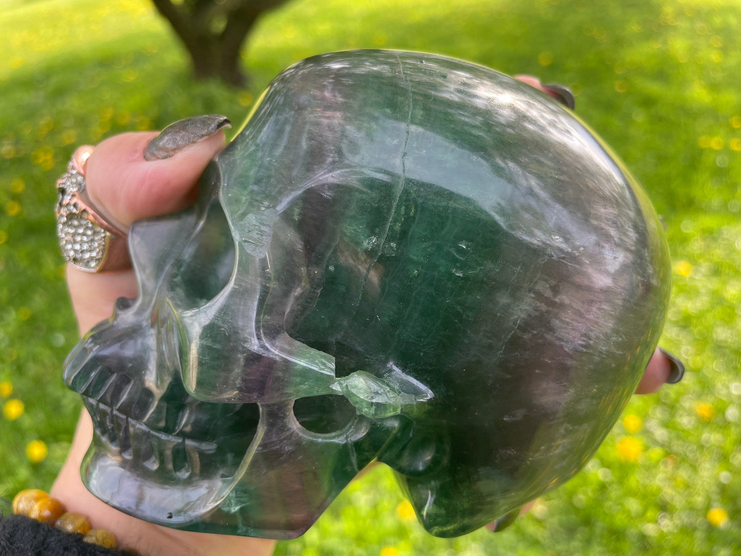 Rainbow Flourite Skull LARGE Polished Carved Genuine Gemstone Crystal