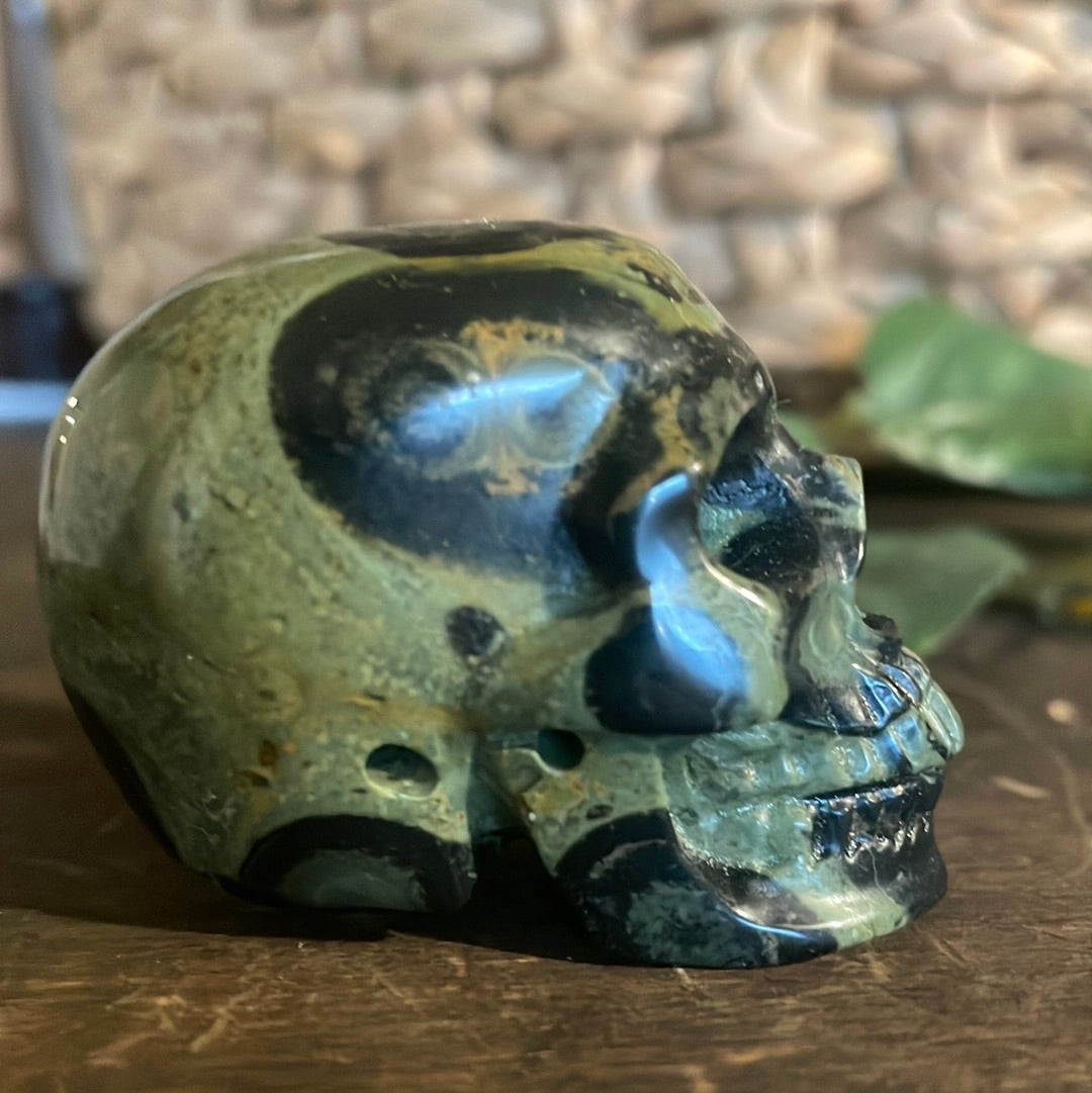 Kambaba Jasper Crystal Skull