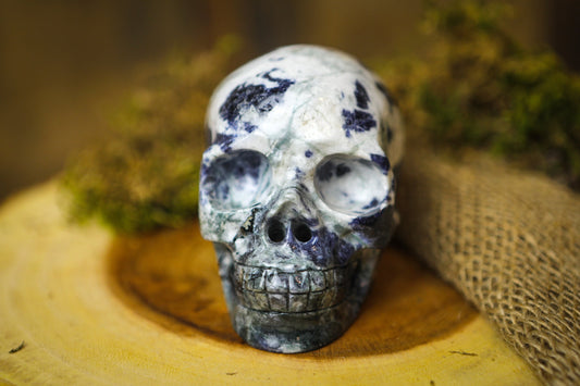 Sodalite Polished Carved Genuine Gemstone Crystal Skull