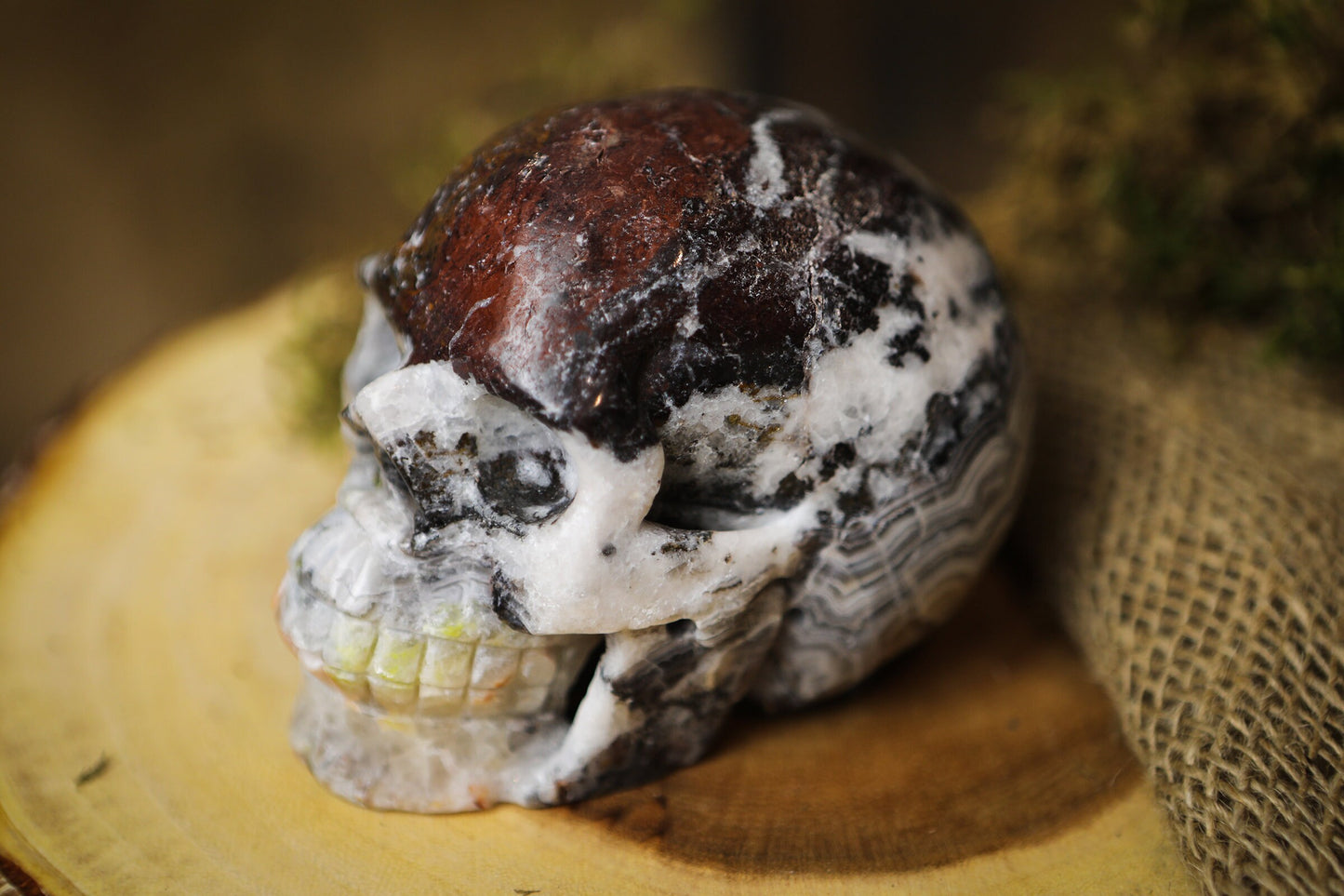 Mexican Crazy Lace Agate Skull Polished Carved Genuine Gemstone Crystal