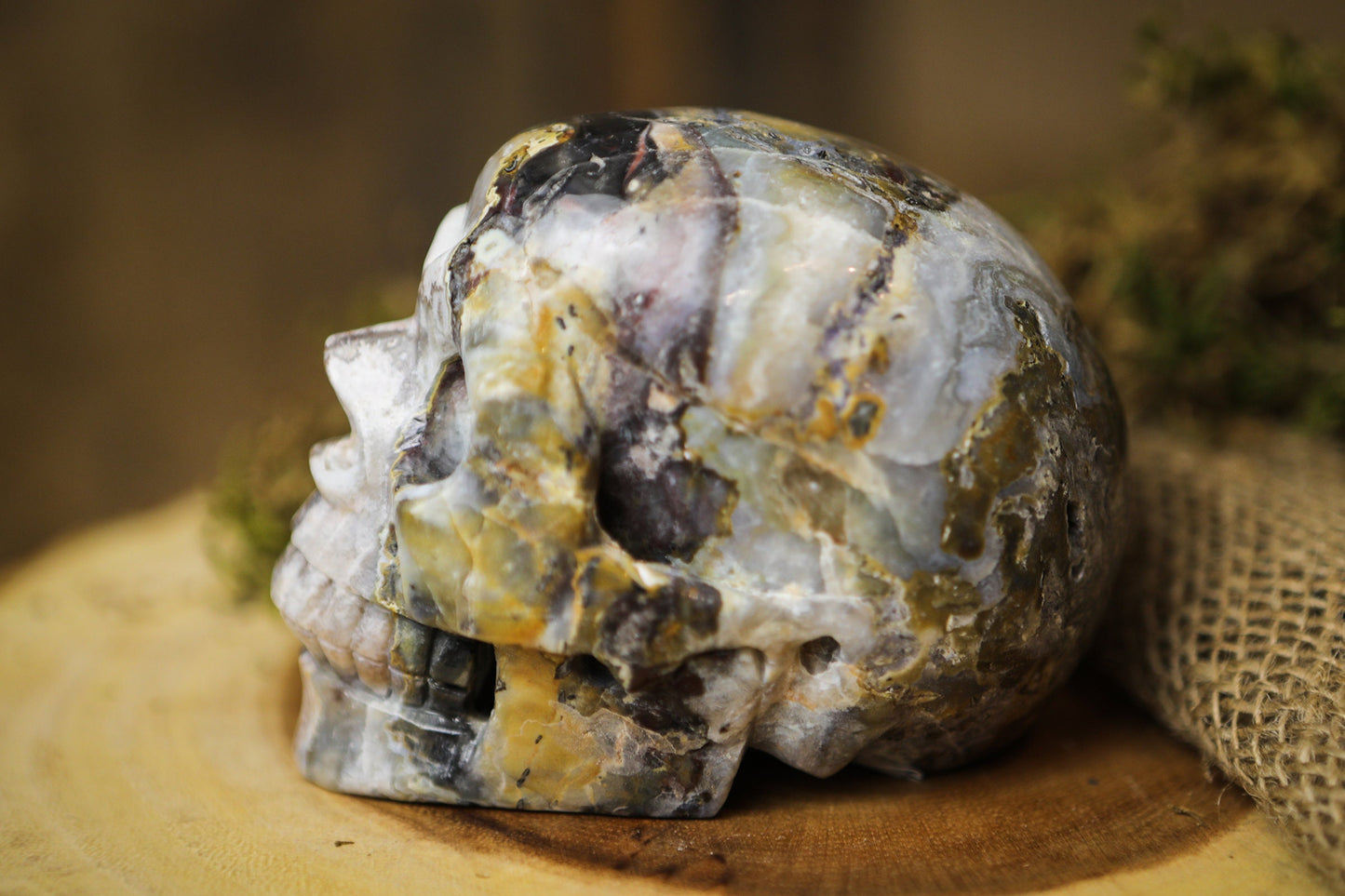 Mexican Crazy Lace Agate Skull Polished Carved Genuine Gemstone Crystal