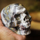 Mexican Crazy Lace Agate Skull Polished Carved Genuine Gemstone Crystal