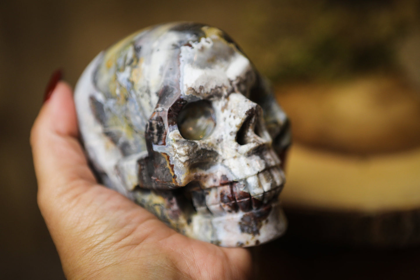 Mexican Crazy Lace Agate Skull Polished Carved Genuine Gemstone Crystal