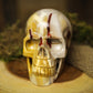 Large Skull Gemstone Polished Carved Mookaite Genuine Crystal Skull