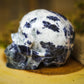 Sodalite Polished Carved Genuine Gemstone Crystal Skull