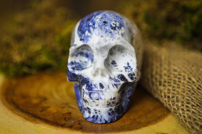 Sodalite Polished Carved Genuine Gemstone Crystal Skull