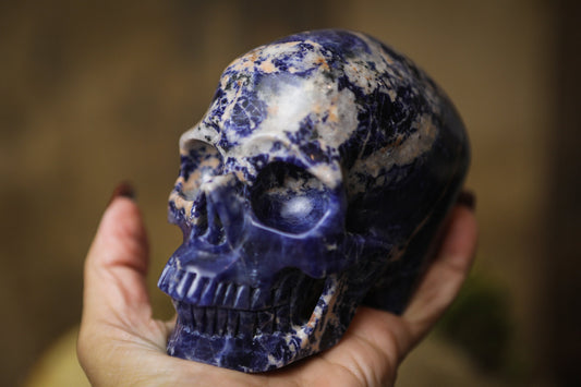 Sodalite Polished Carved Genuine Gemstone Crystal Skull