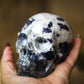 Sodalite Polished Carved Genuine Gemstone Crystal Skull