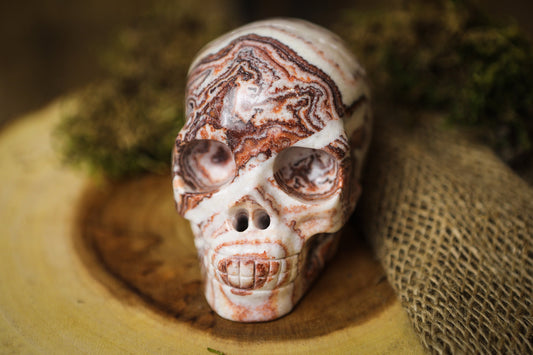 Picture Jasper Gemstone Skull  Polished Carved Genuine Crystal