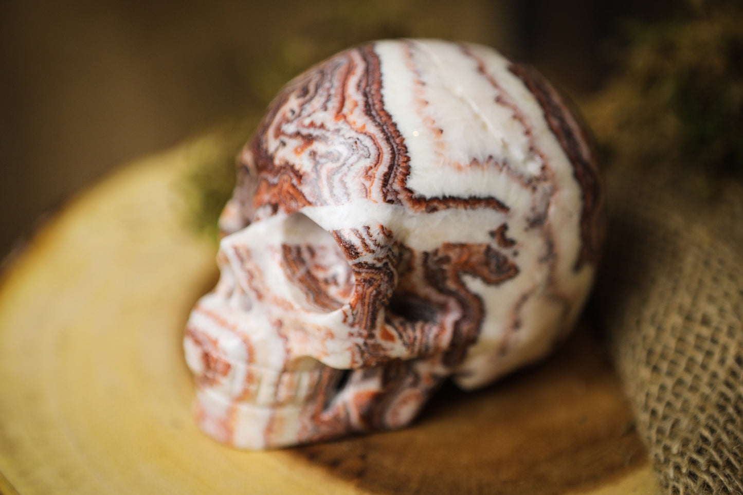 Picture Jasper Gemstone Skull  Polished Carved Genuine Crystal