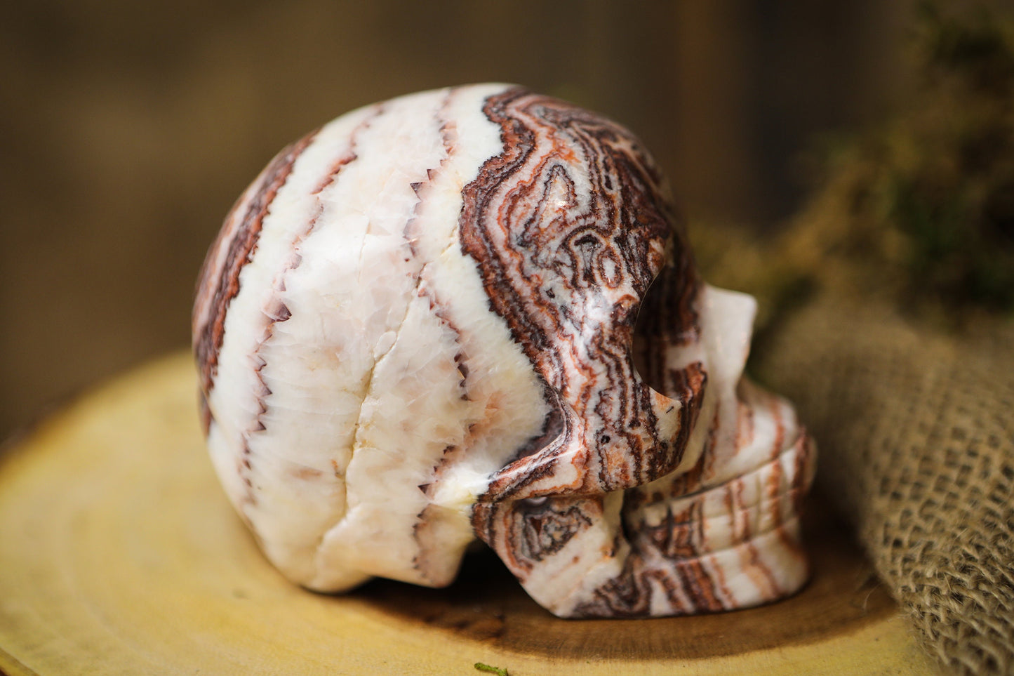 Picture Jasper Gemstone Skull  Polished Carved Genuine Crystal