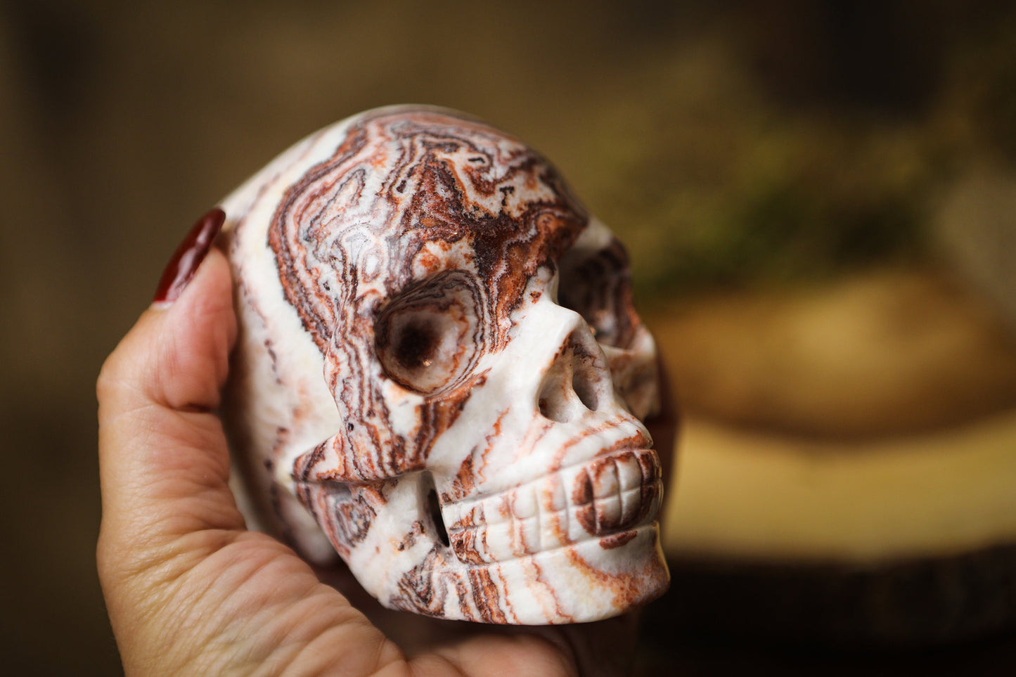 Picture Jasper Gemstone Skull  Polished Carved Genuine Crystal