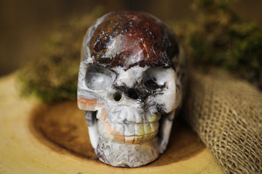 Mexican Crazy Lace Agate Skull Polished Carved Genuine Gemstone Crystal
