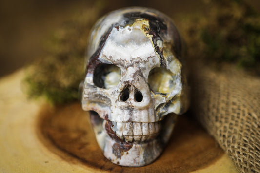 Mexican Crazy Lace Agate Skull Polished Carved Genuine Gemstone Crystal