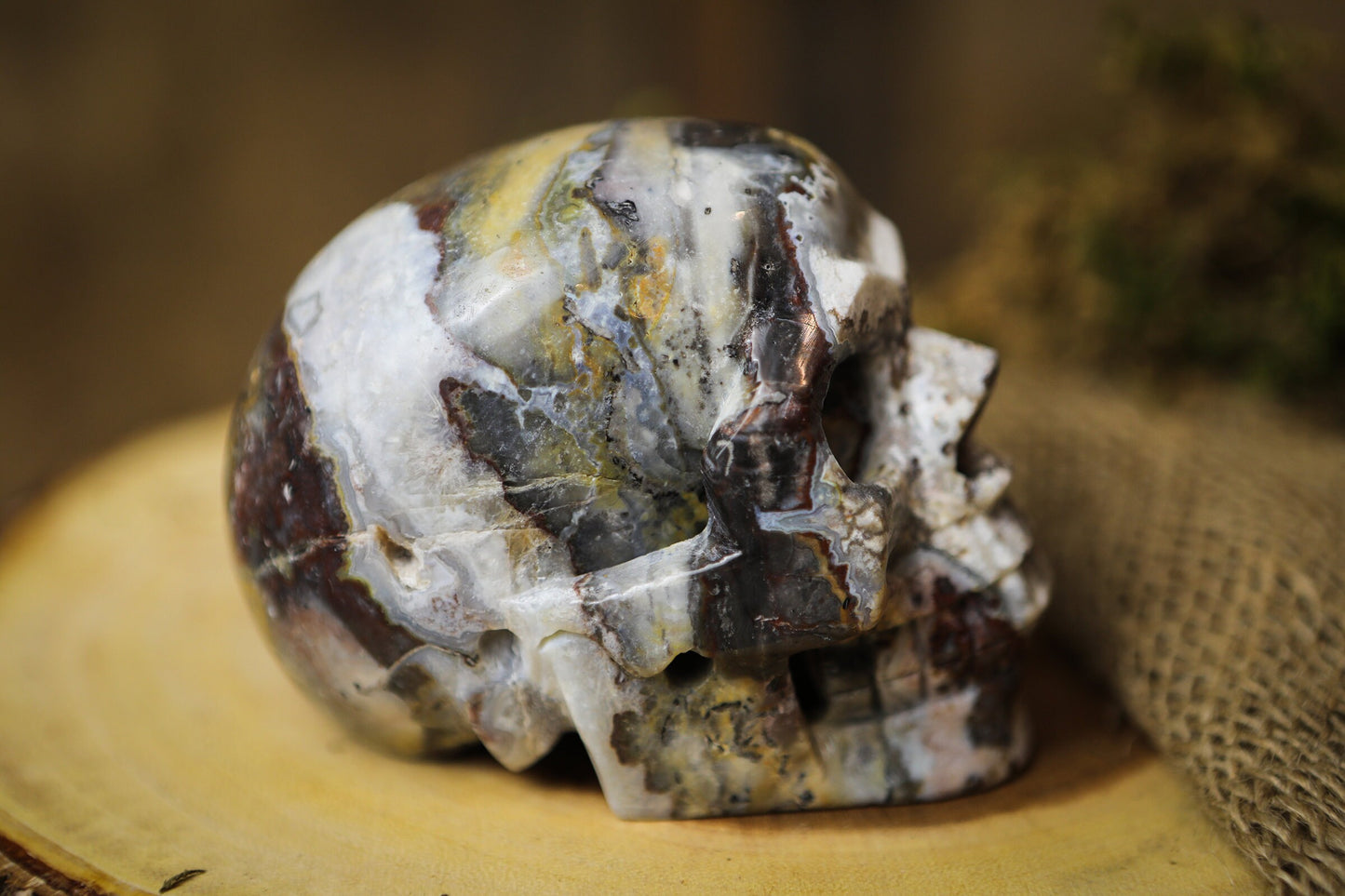 Mexican Crazy Lace Agate Skull Polished Carved Genuine Gemstone Crystal