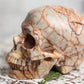 Red Vein Jasper Skull Gemstone Polished Carved Genuine Crystal