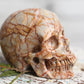 Red Vein Jasper Skull Gemstone Polished Carved Genuine Crystal