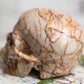 Red Vein Jasper Skull Gemstone Polished Carved Genuine Crystal