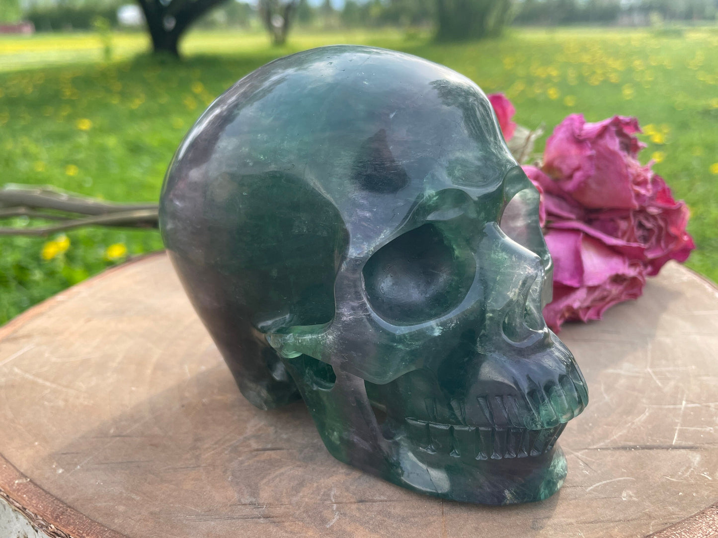 Rainbow Flourite Skull LARGE Polished Carved Genuine Gemstone Crystal