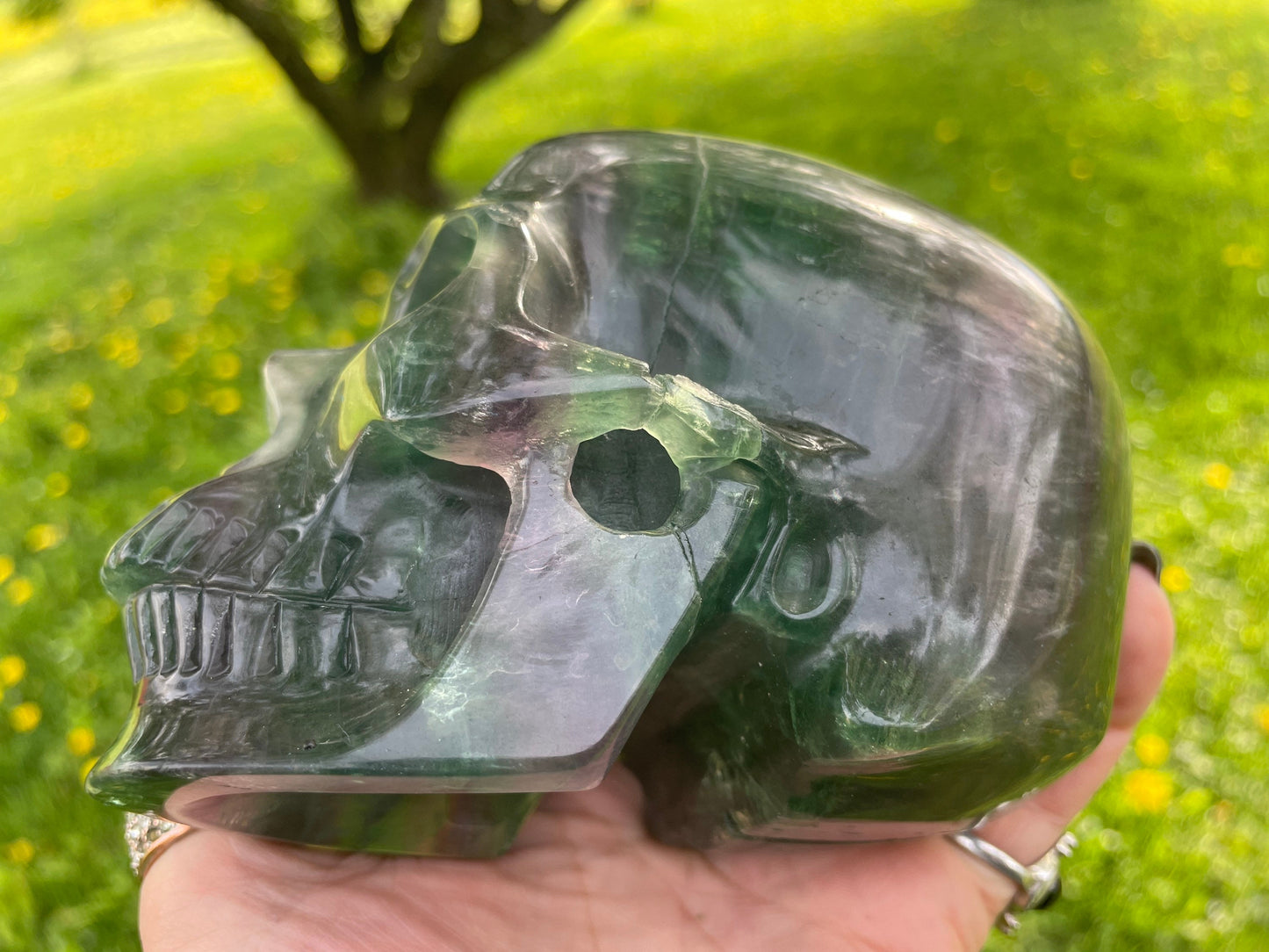 Rainbow Flourite Skull LARGE Polished Carved Genuine Gemstone Crystal