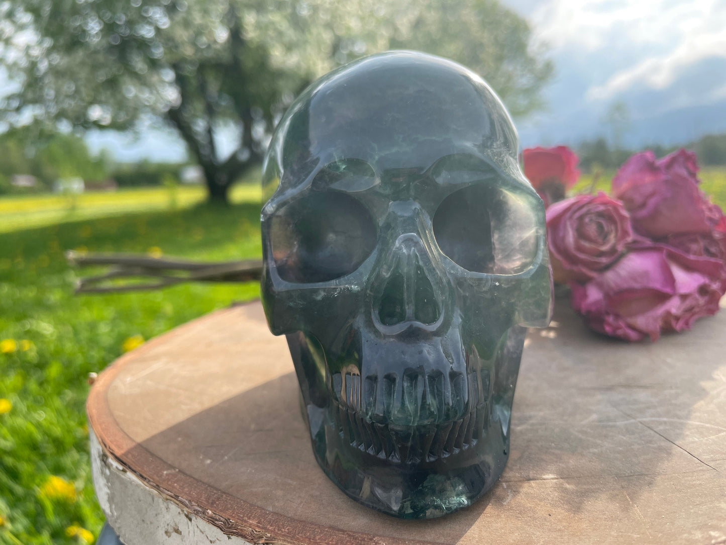 Rainbow Flourite Skull LARGE Polished Carved Genuine Gemstone Crystal
