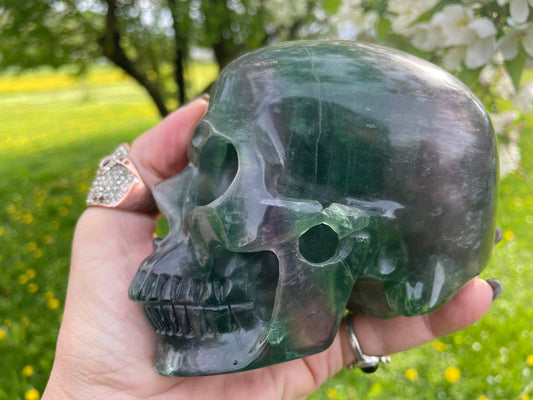 Rainbow Flourite Skull LARGE Polished Carved Genuine Gemstone Crystal