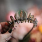 Smoky Quartz Crown TIara | Photo Prop | Witchcraft | Goth | Moon Goddess | Moonchild