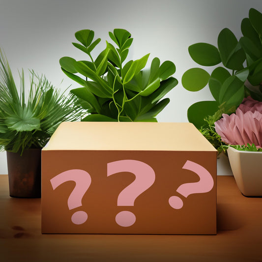 Mystery Crystal Surprise Gift Box! | Hug in a Box | Genuine Gemstones