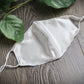 Mulberry Silk Adult Face Mask